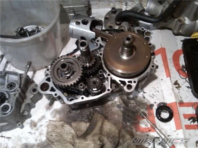 Photo 1661243