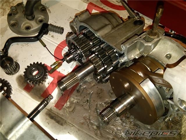 Photo 1661244