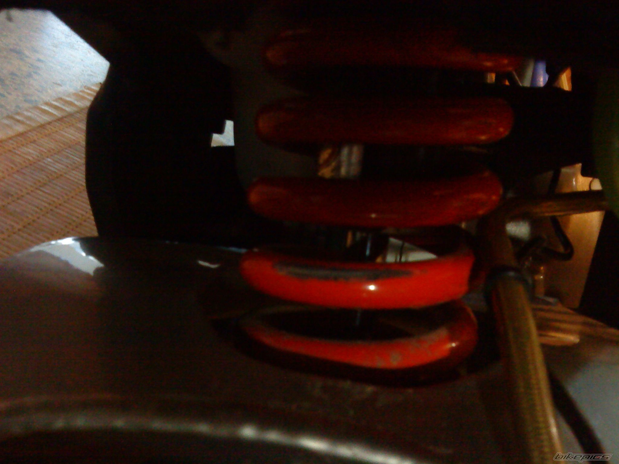 Photo 1661254