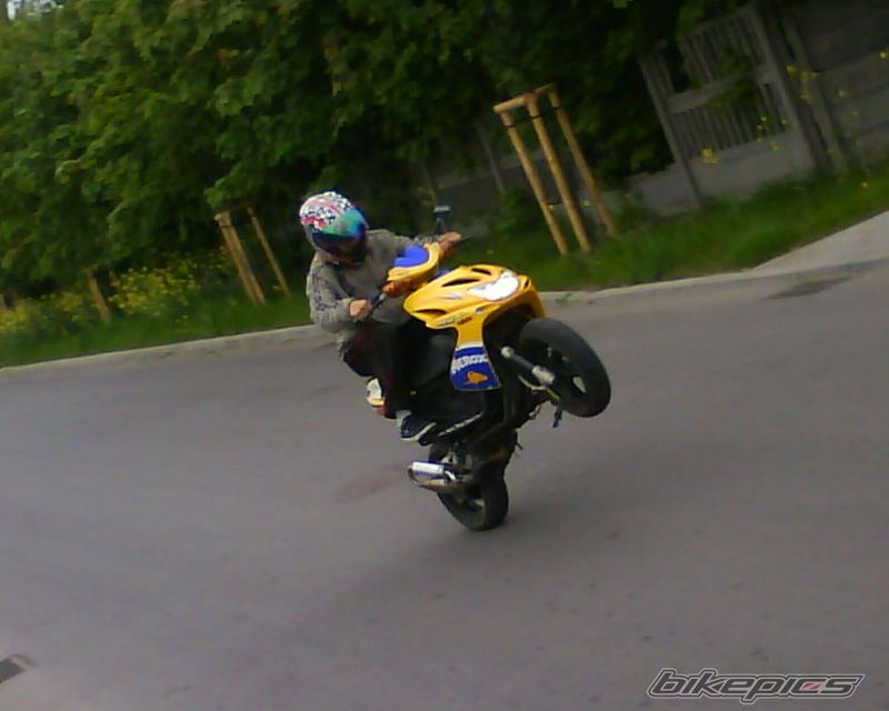 Photo 1661257