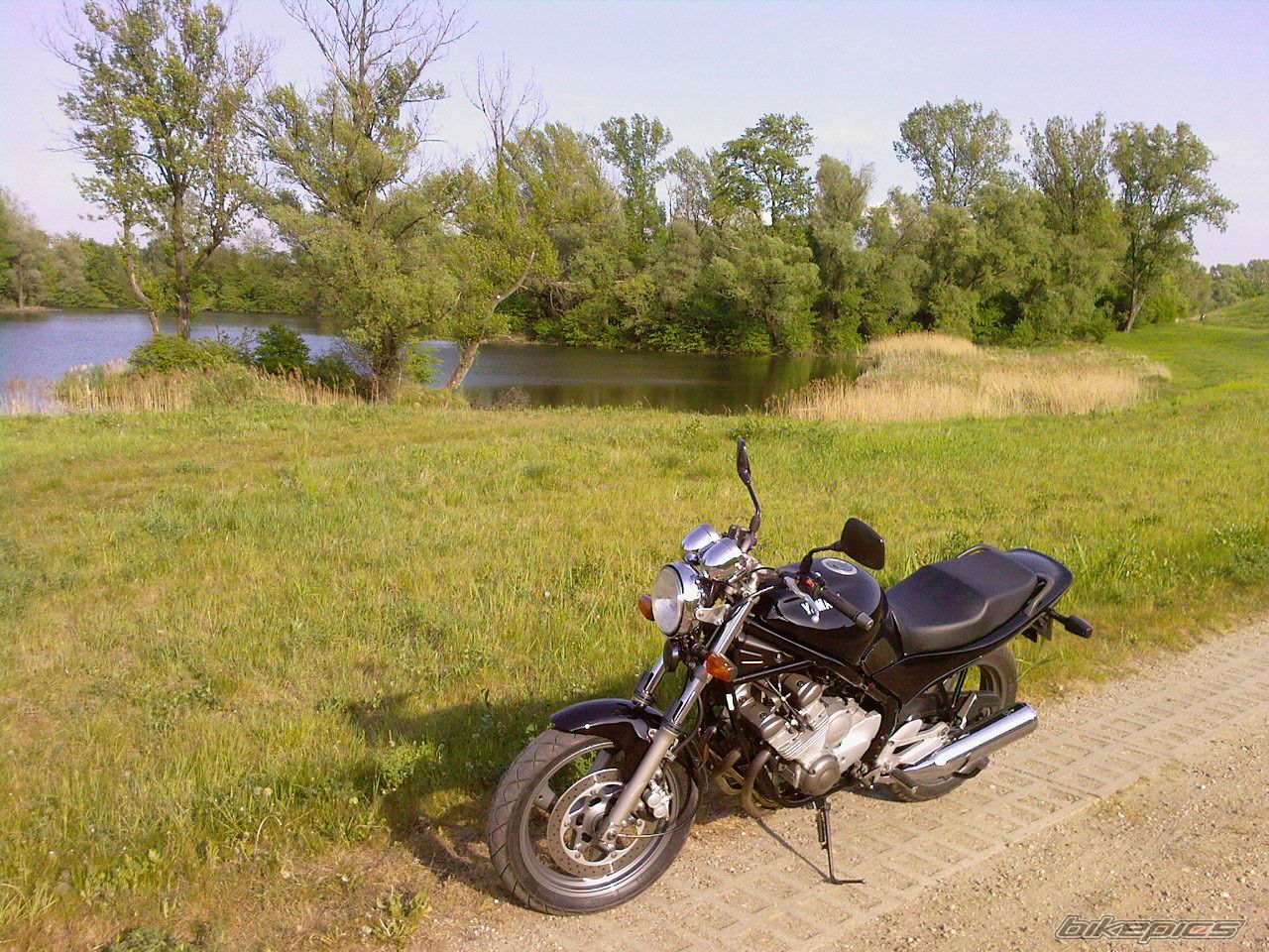 Photo 1661543
