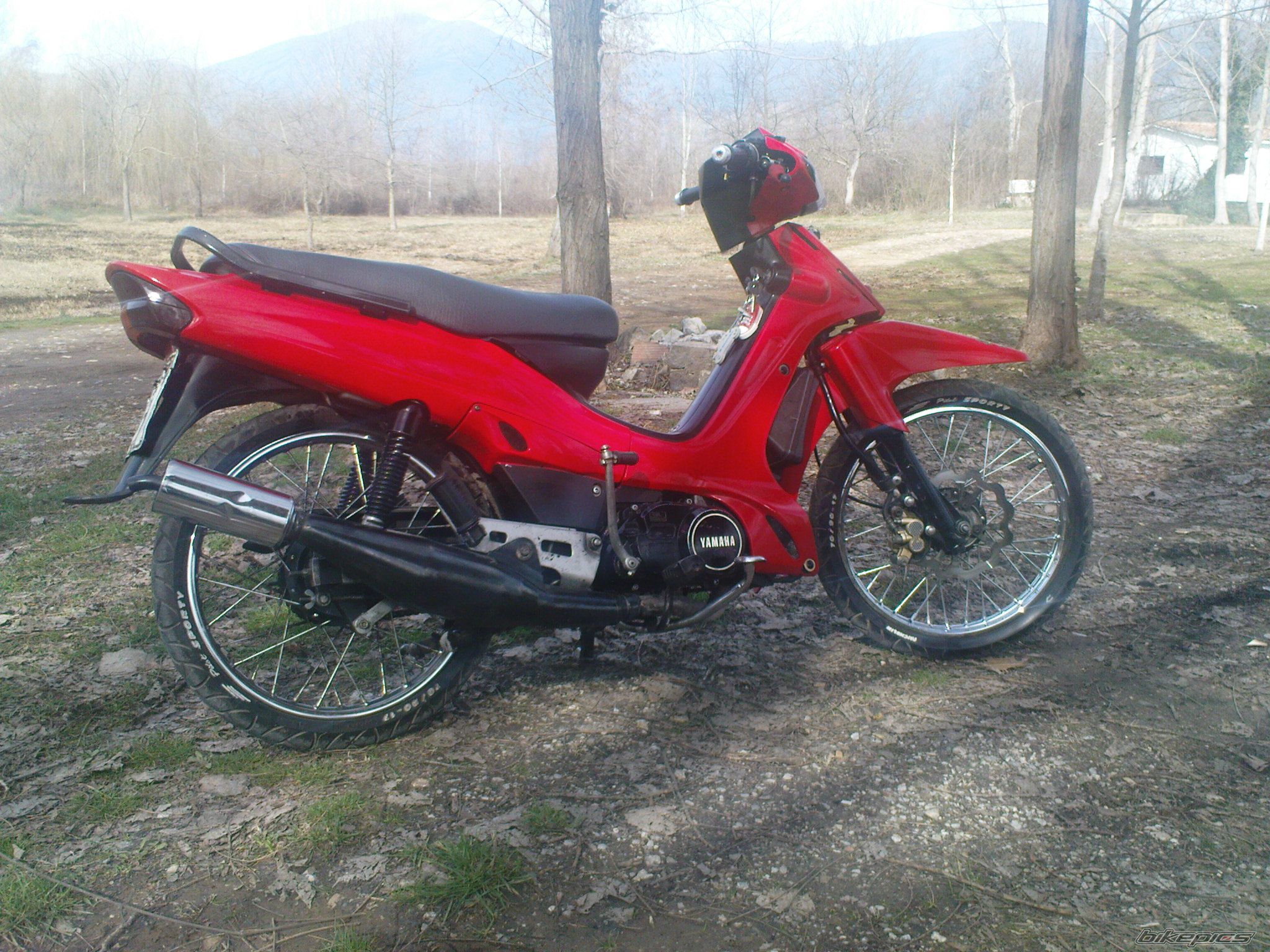 Photo 1661679