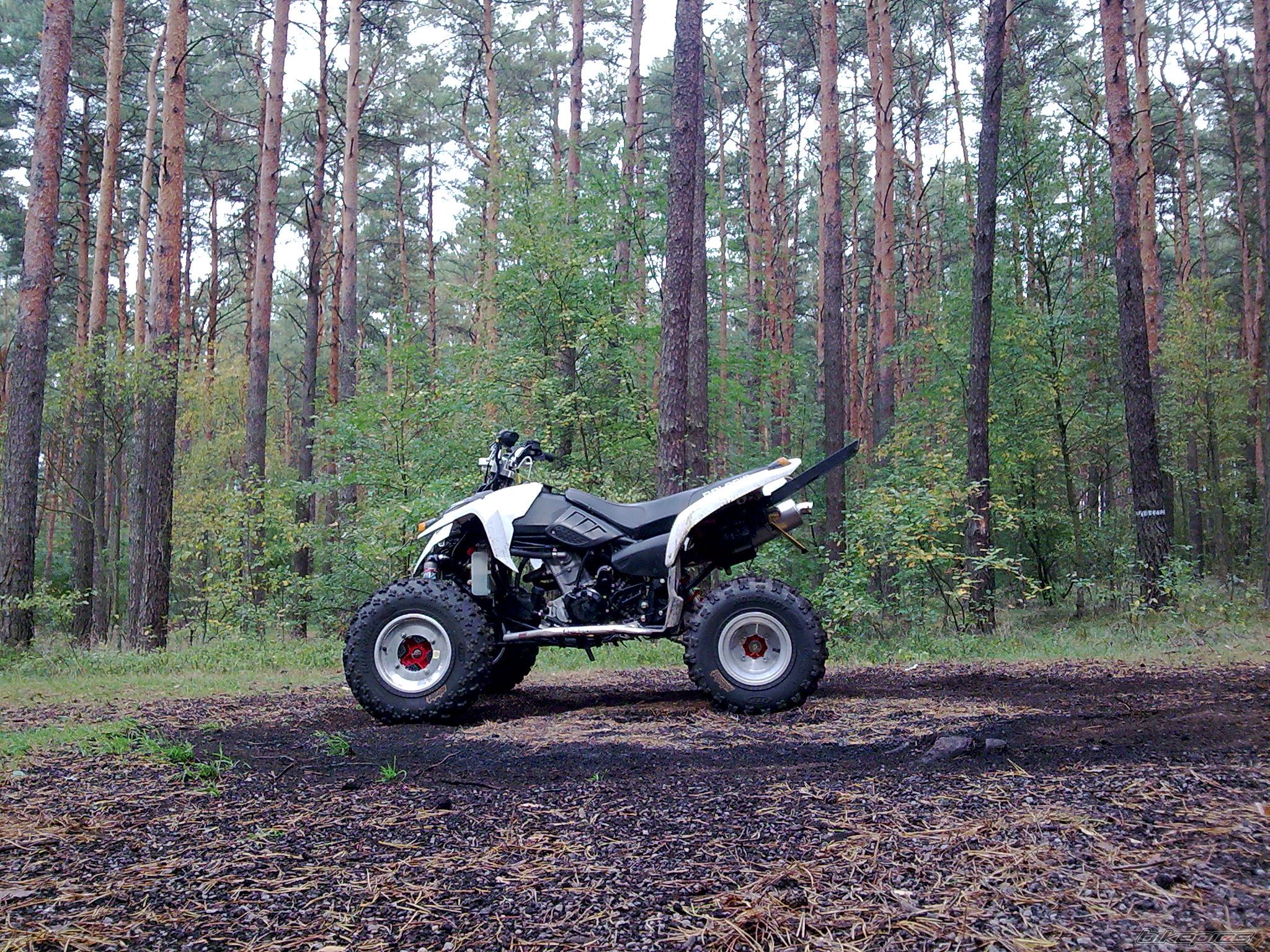 Photo 1661763