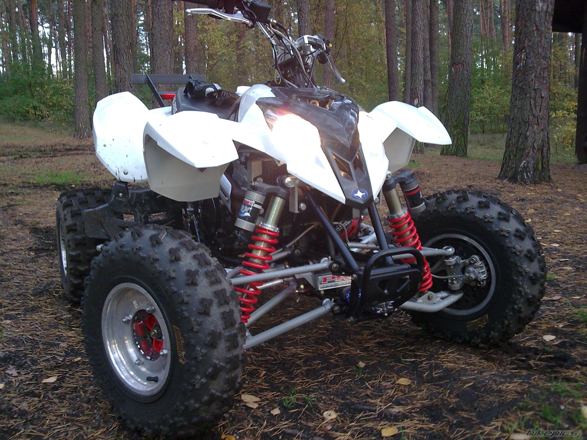 Photo 1661768