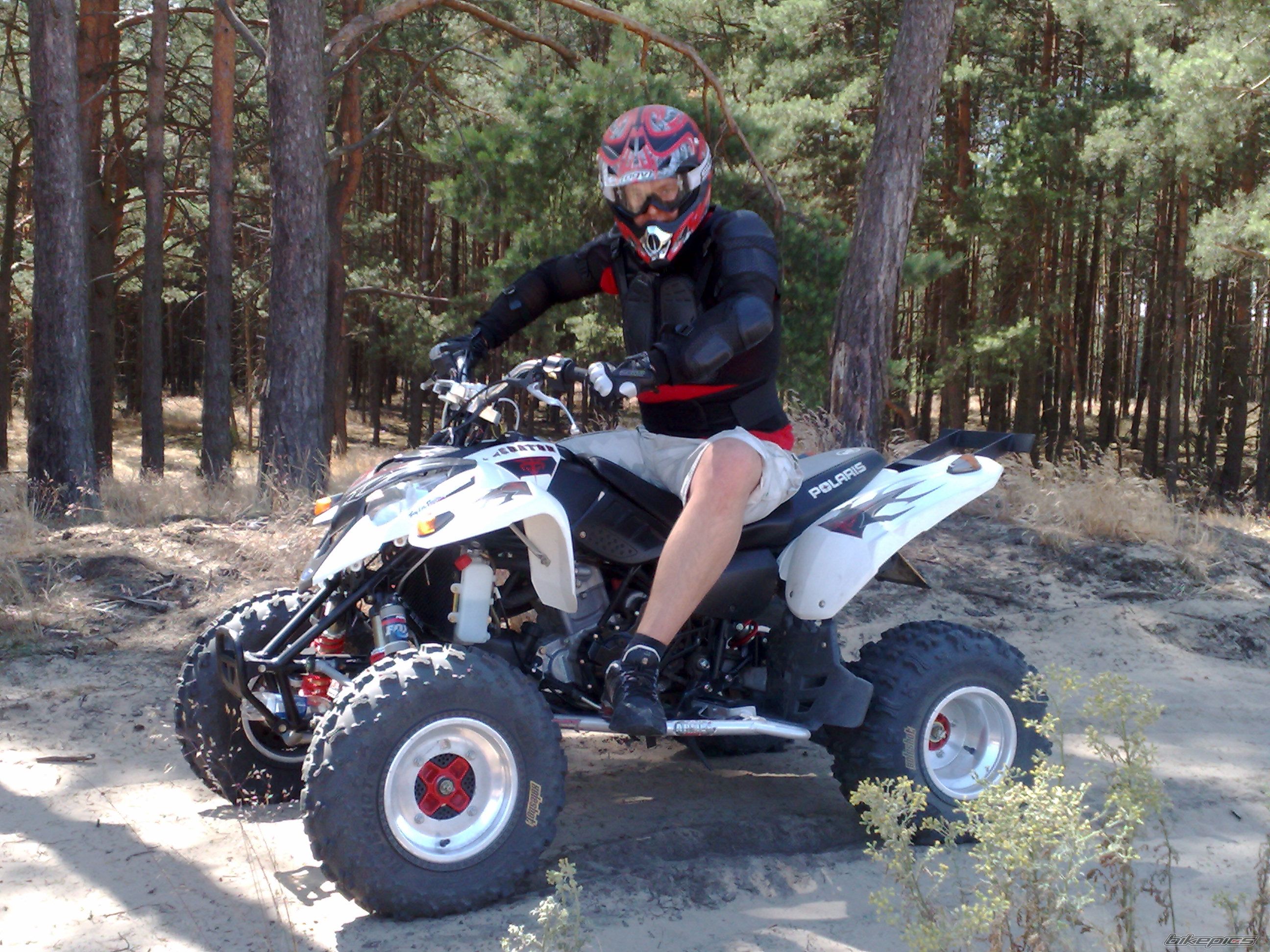 Photo 1661798