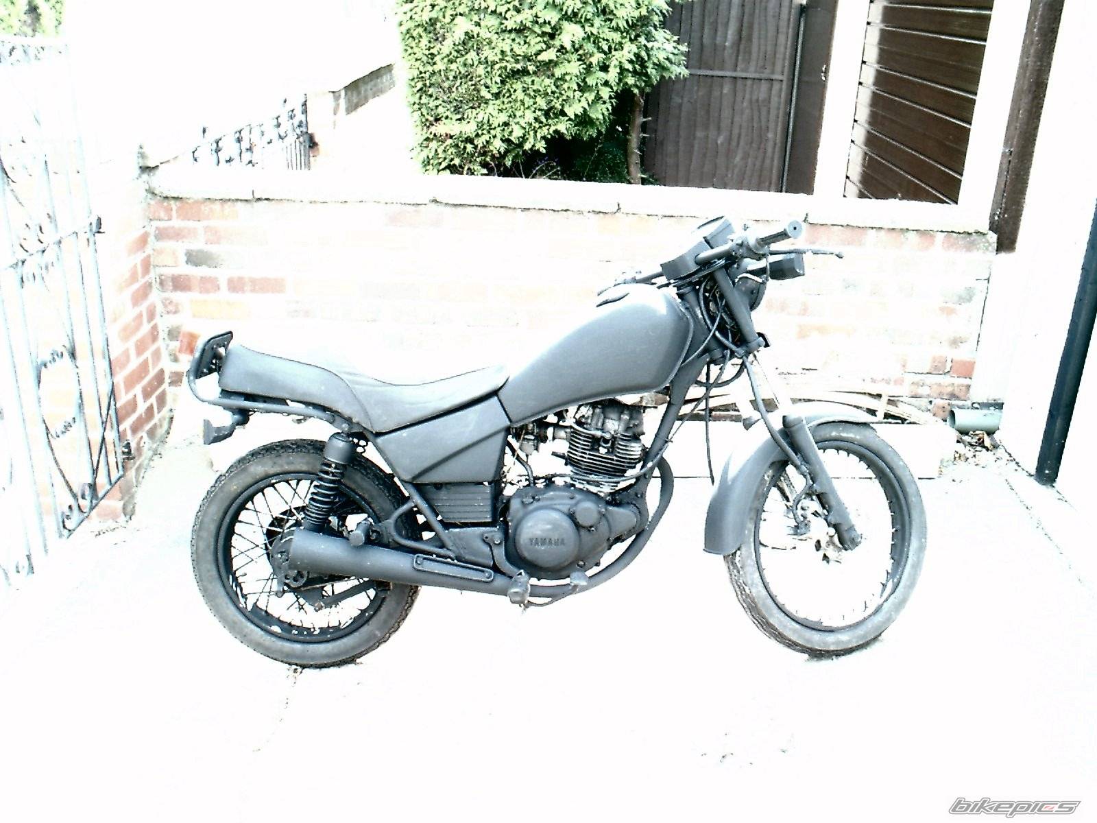 Photo 166184