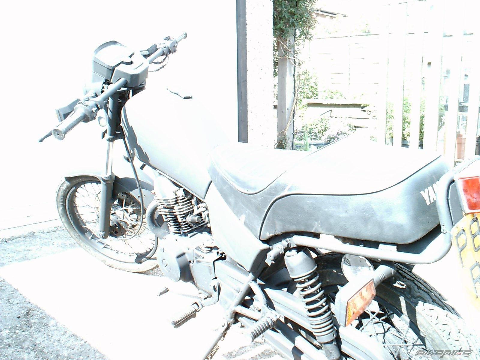 Photo 166185