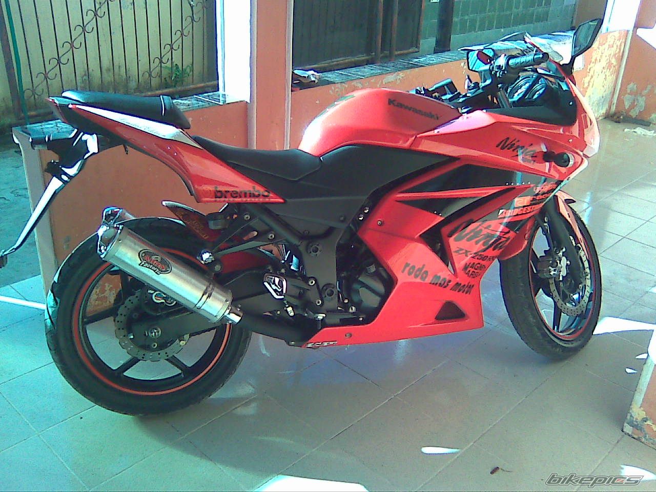 Photo 1661870