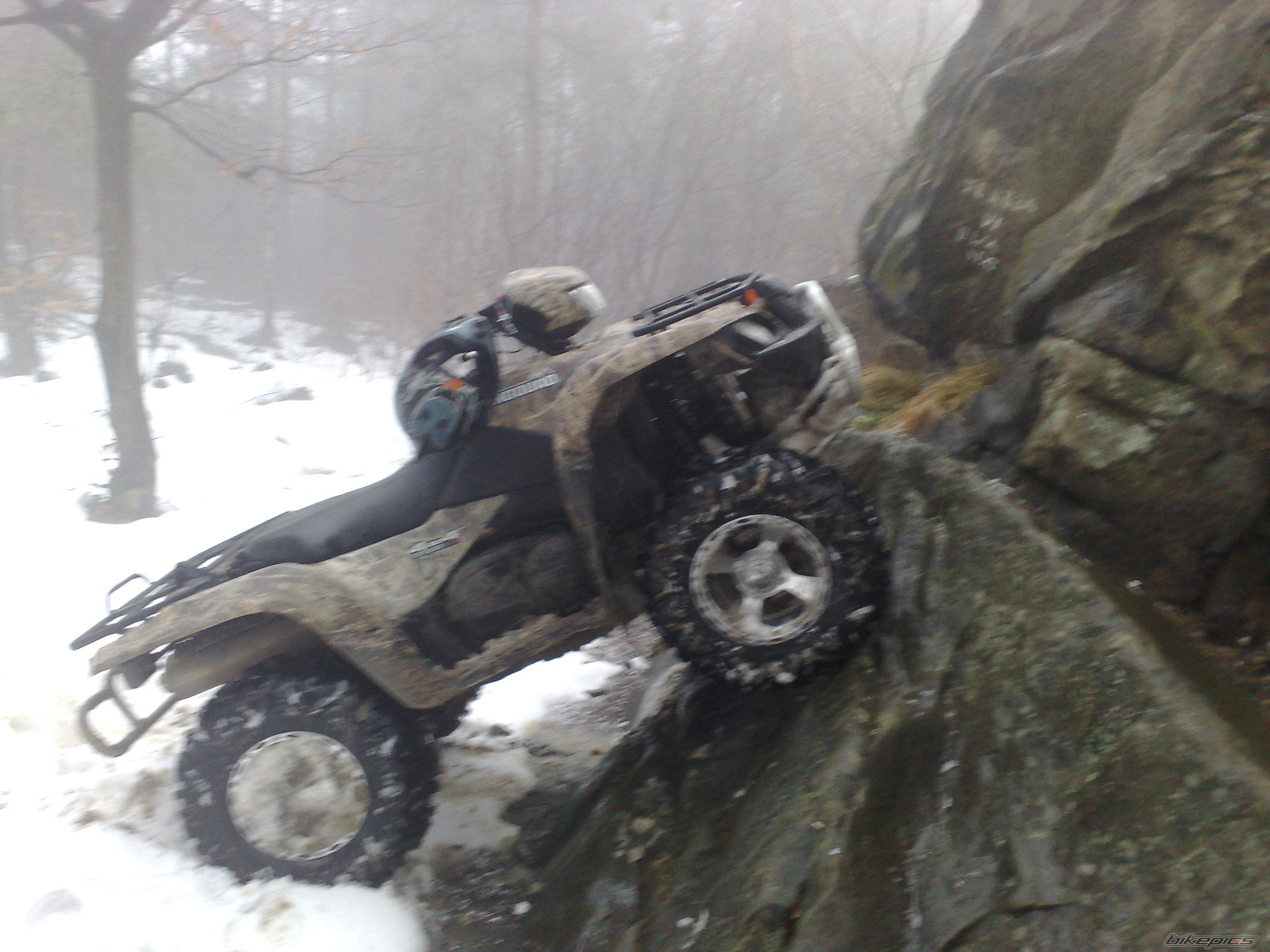 Photo 1661921