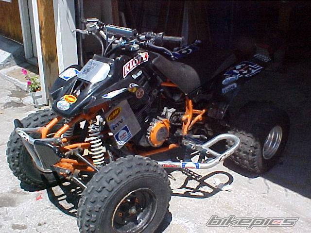 Photo 166195
