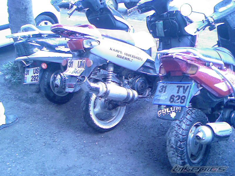 Photo 1661974
