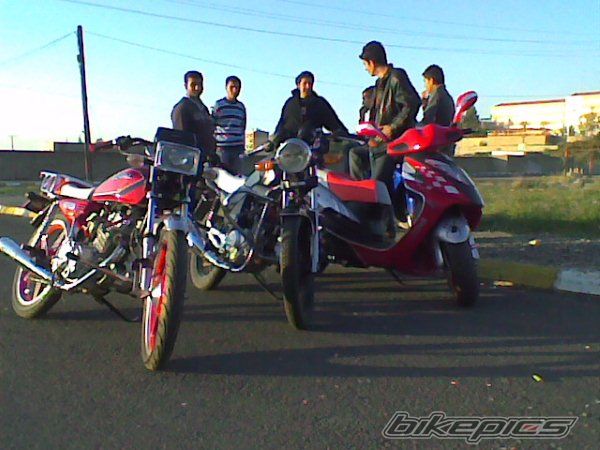 Photo 1662033
