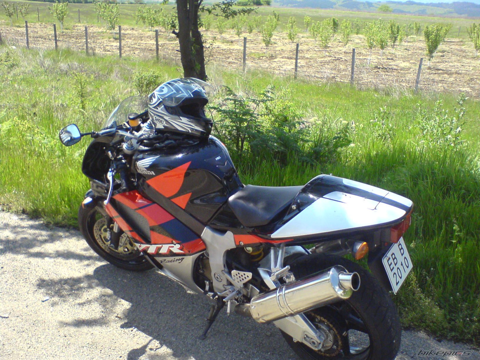 Photo 1662050