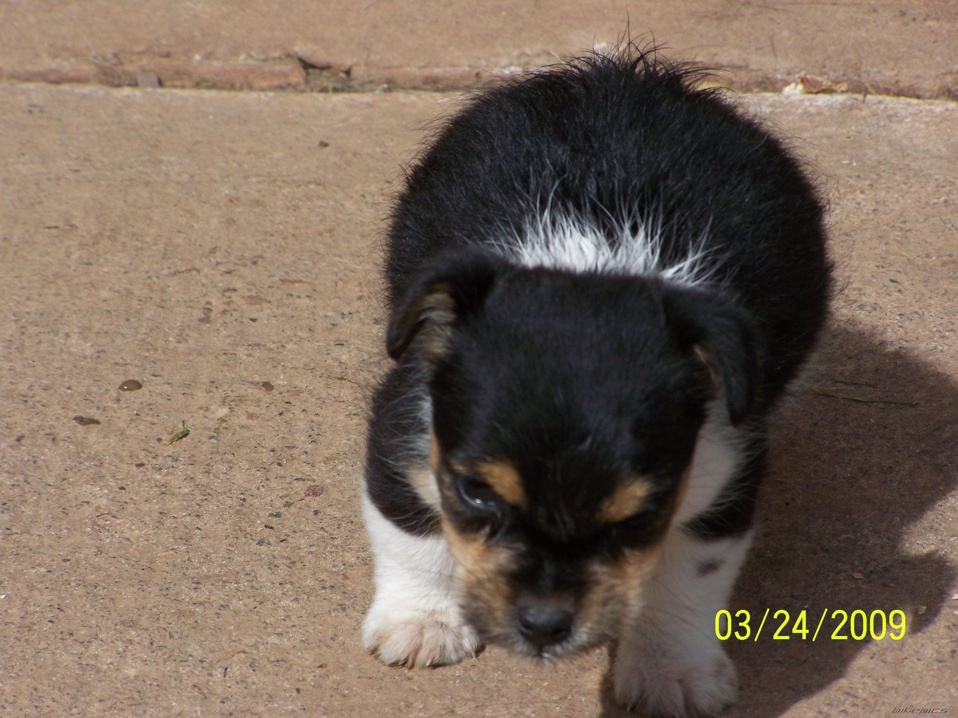 Photo 1662054