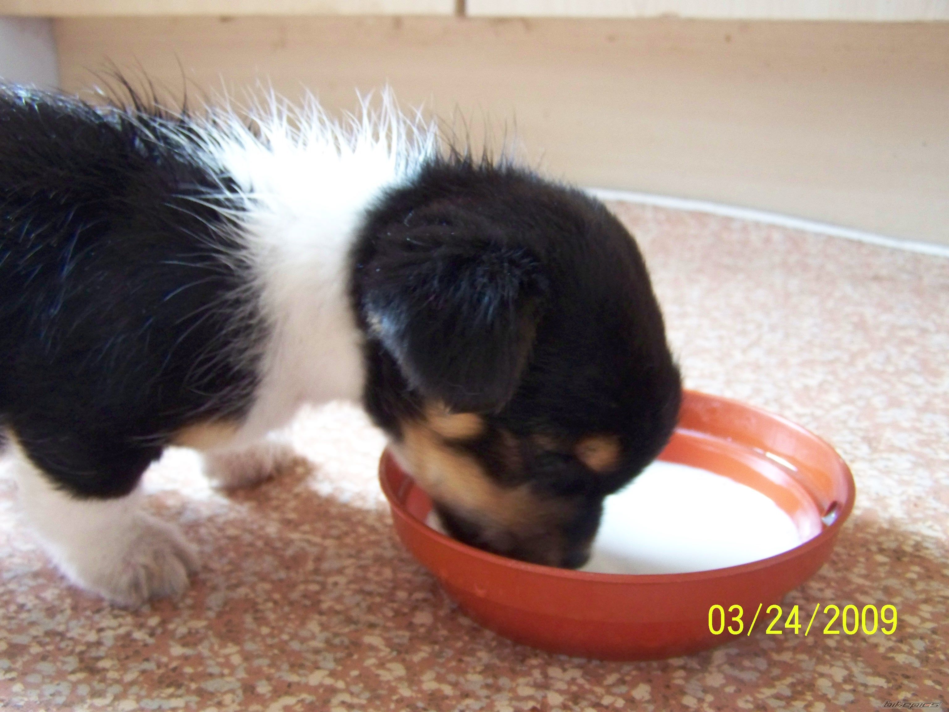 Photo 1662060