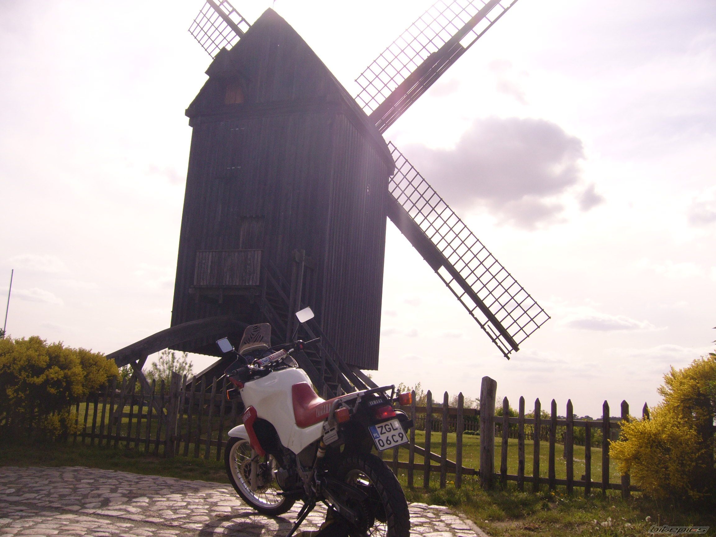 Bike Photo 1662099