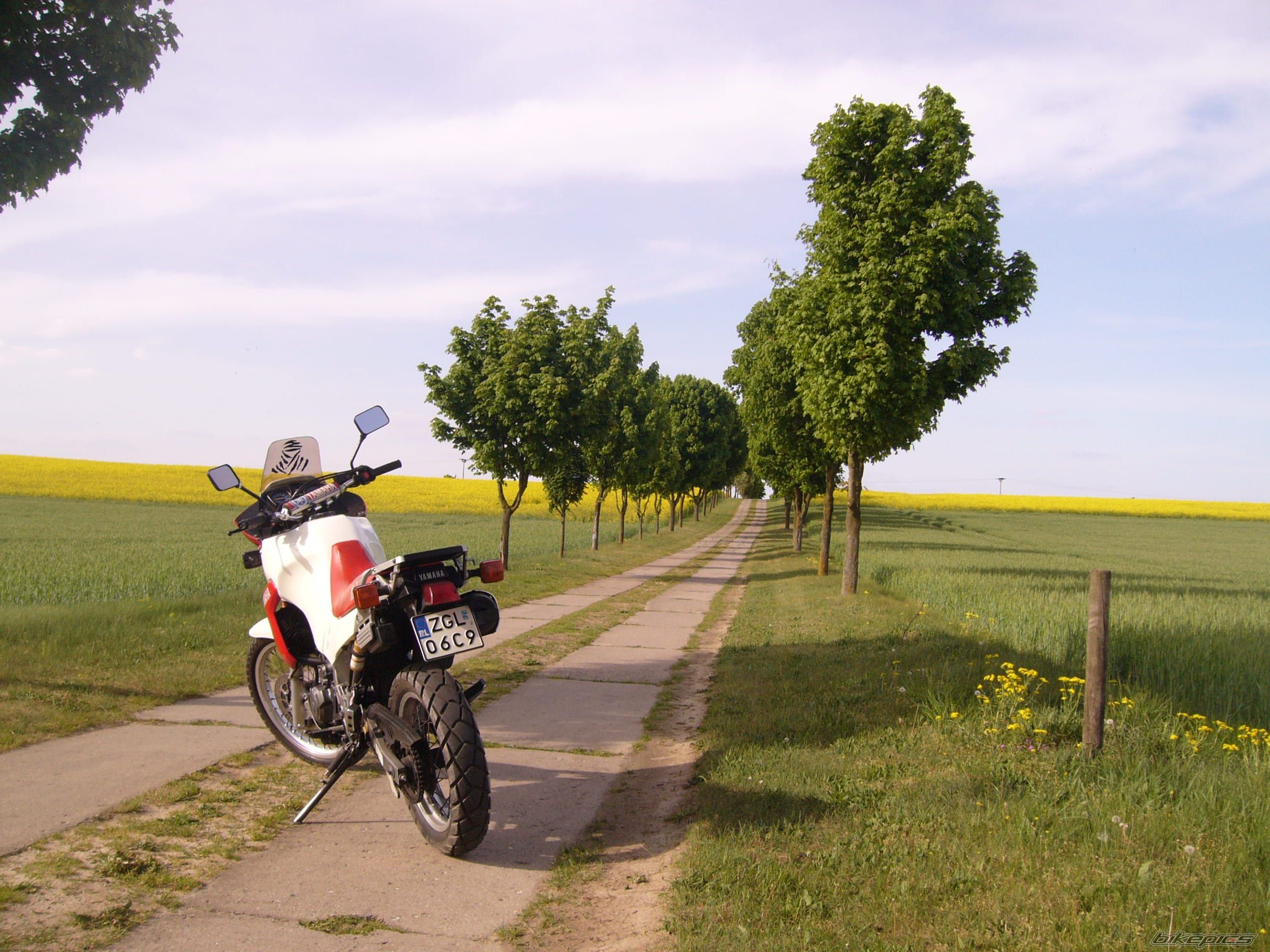 Bike Photo 1662105