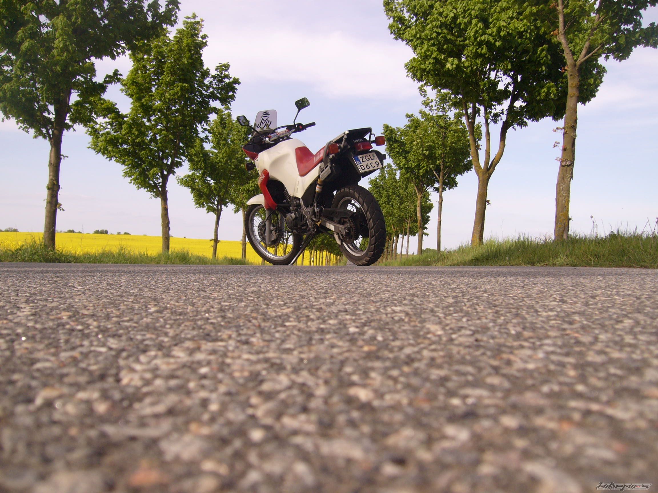Bike Photo 1662111