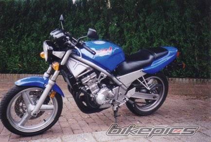 Photo 166214