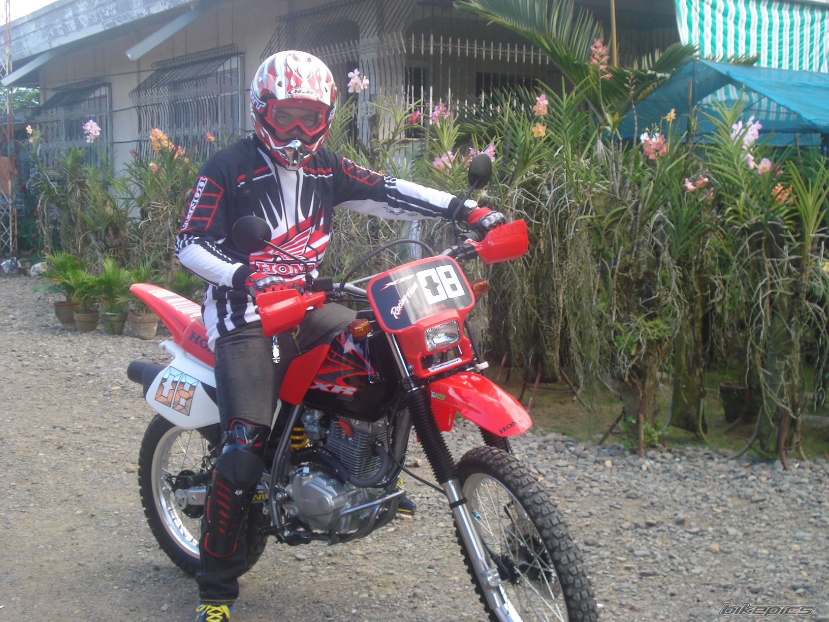 Photo 1662283