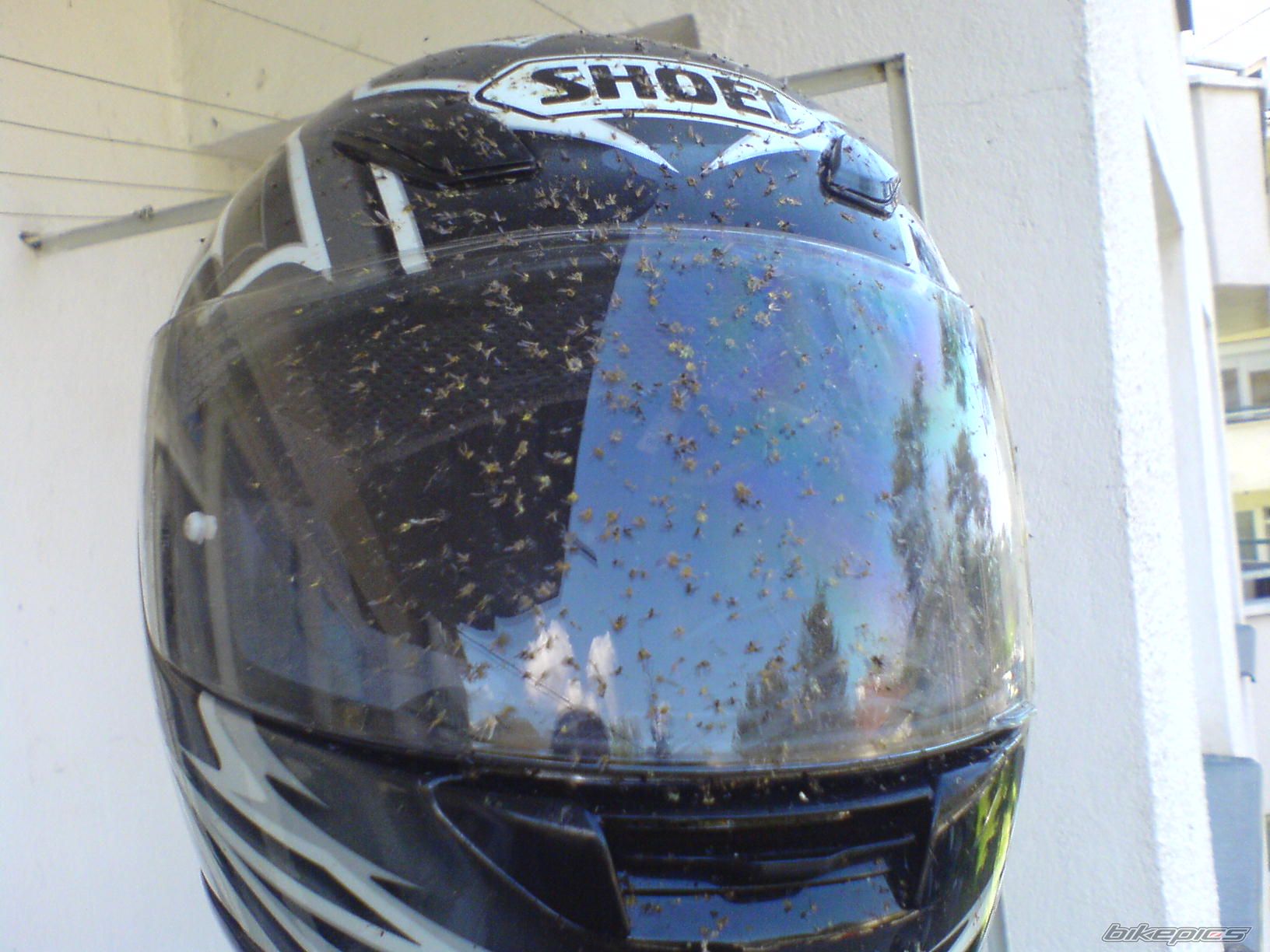 Bike Photo 1662332