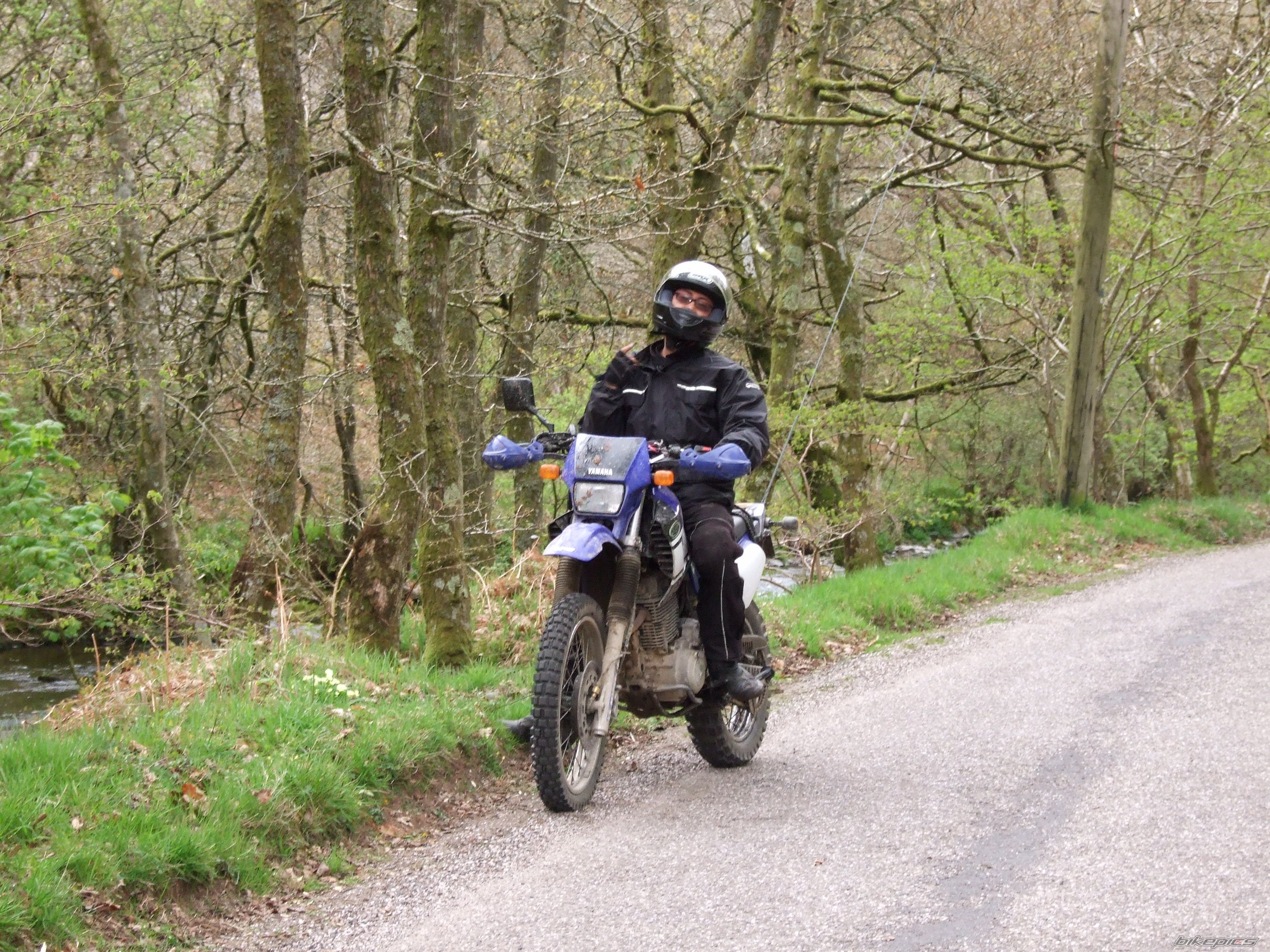 Bike Photo 1662349