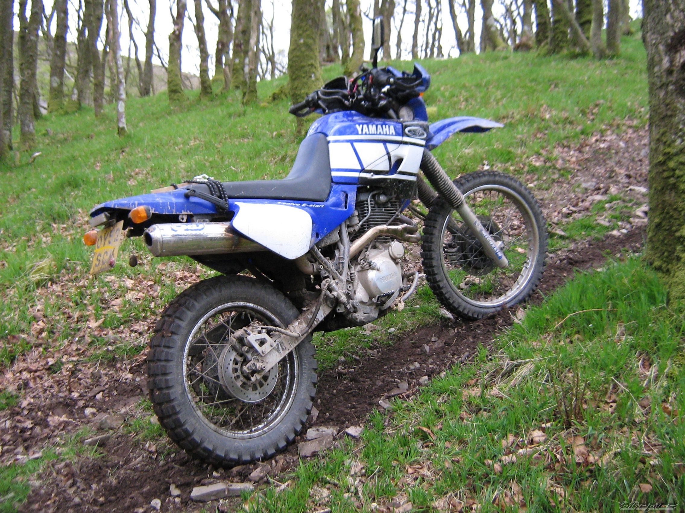 Bike Photo 1662350