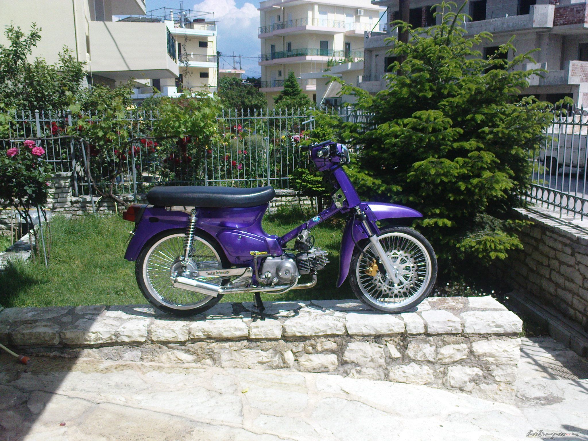 Photo 1662457