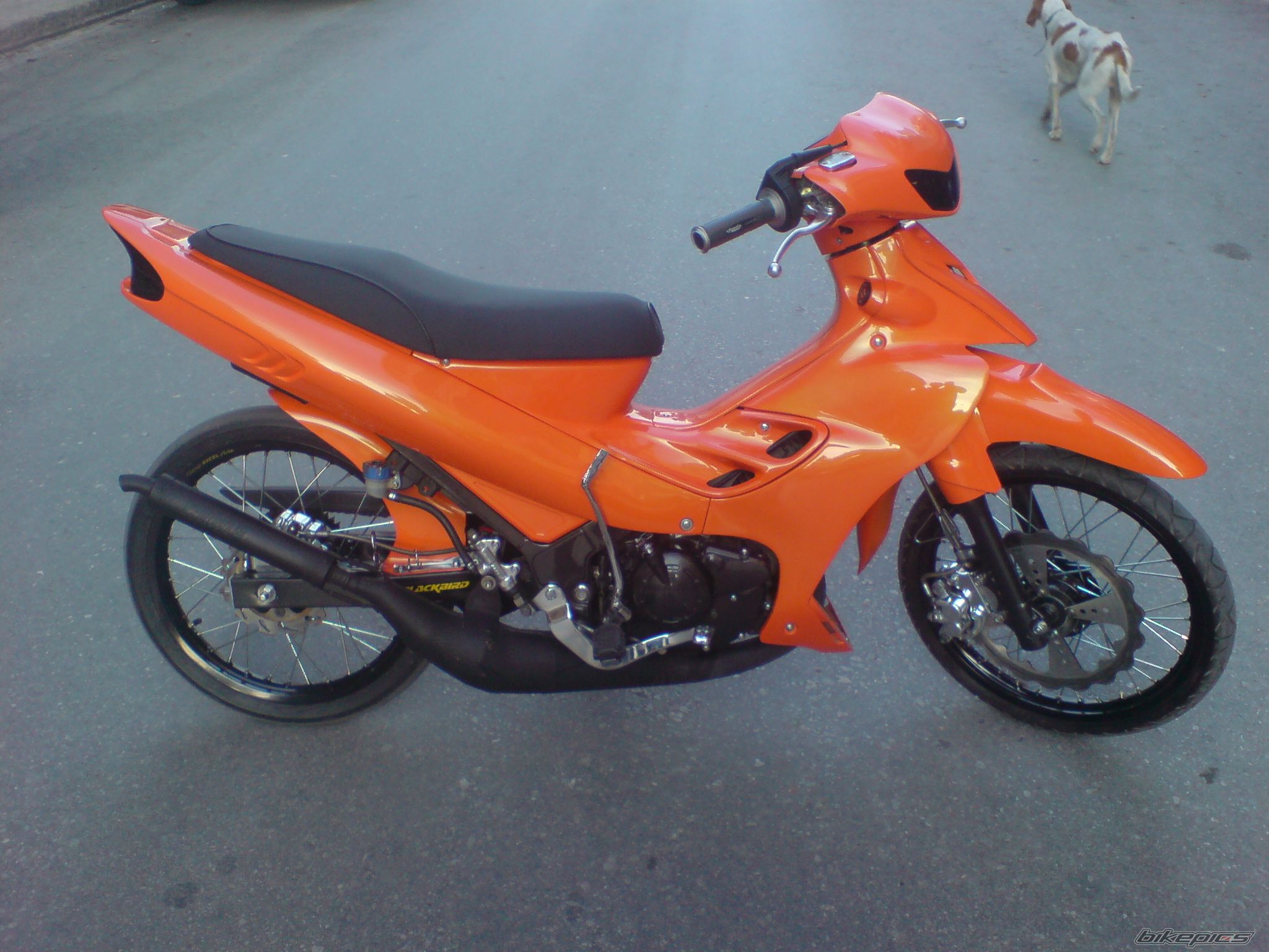 Photo 1662503