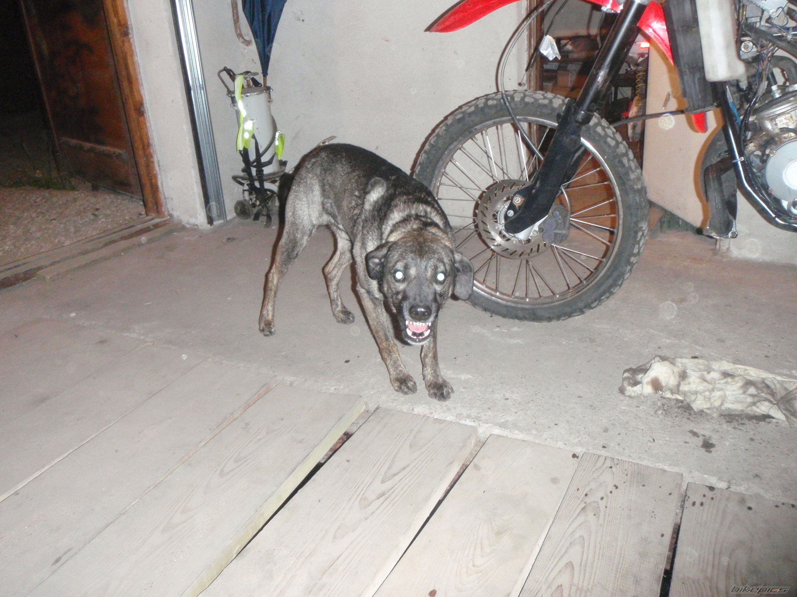 Photo 1662564