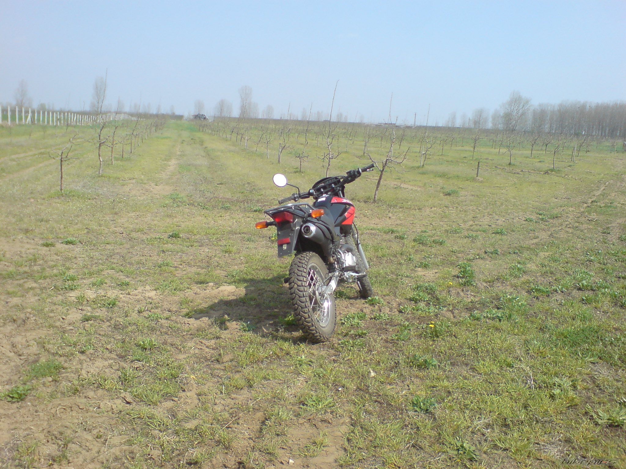 Photo 1662613
