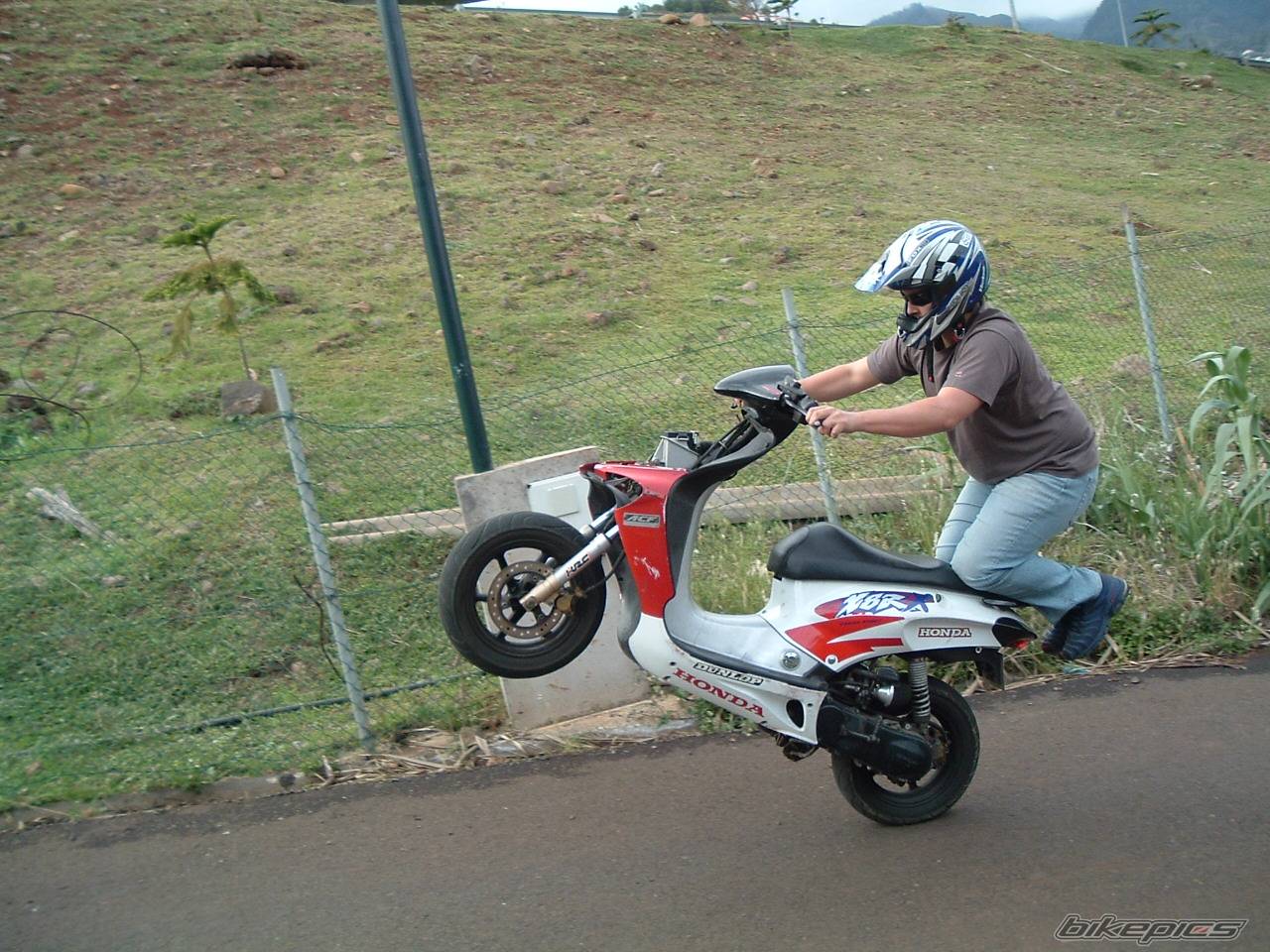 Photo 166269