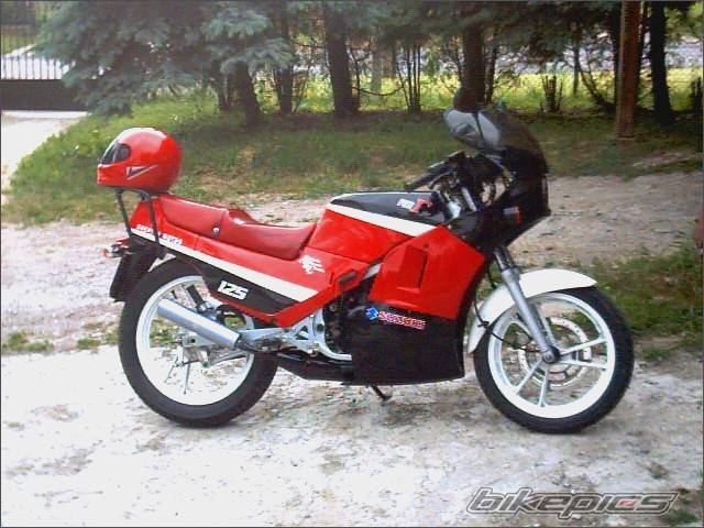 Photo 166274