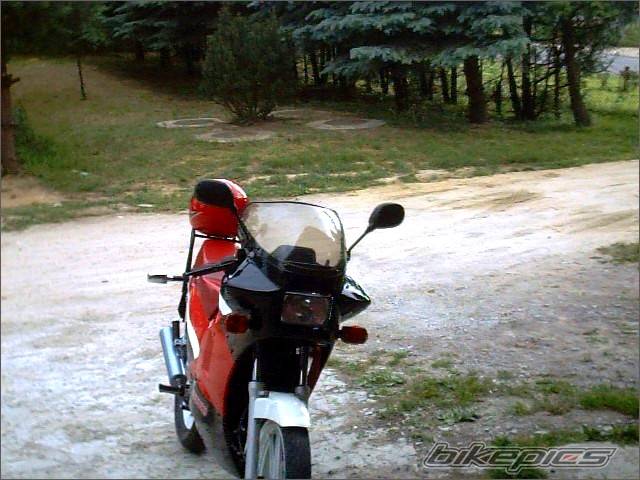 Photo 166275
