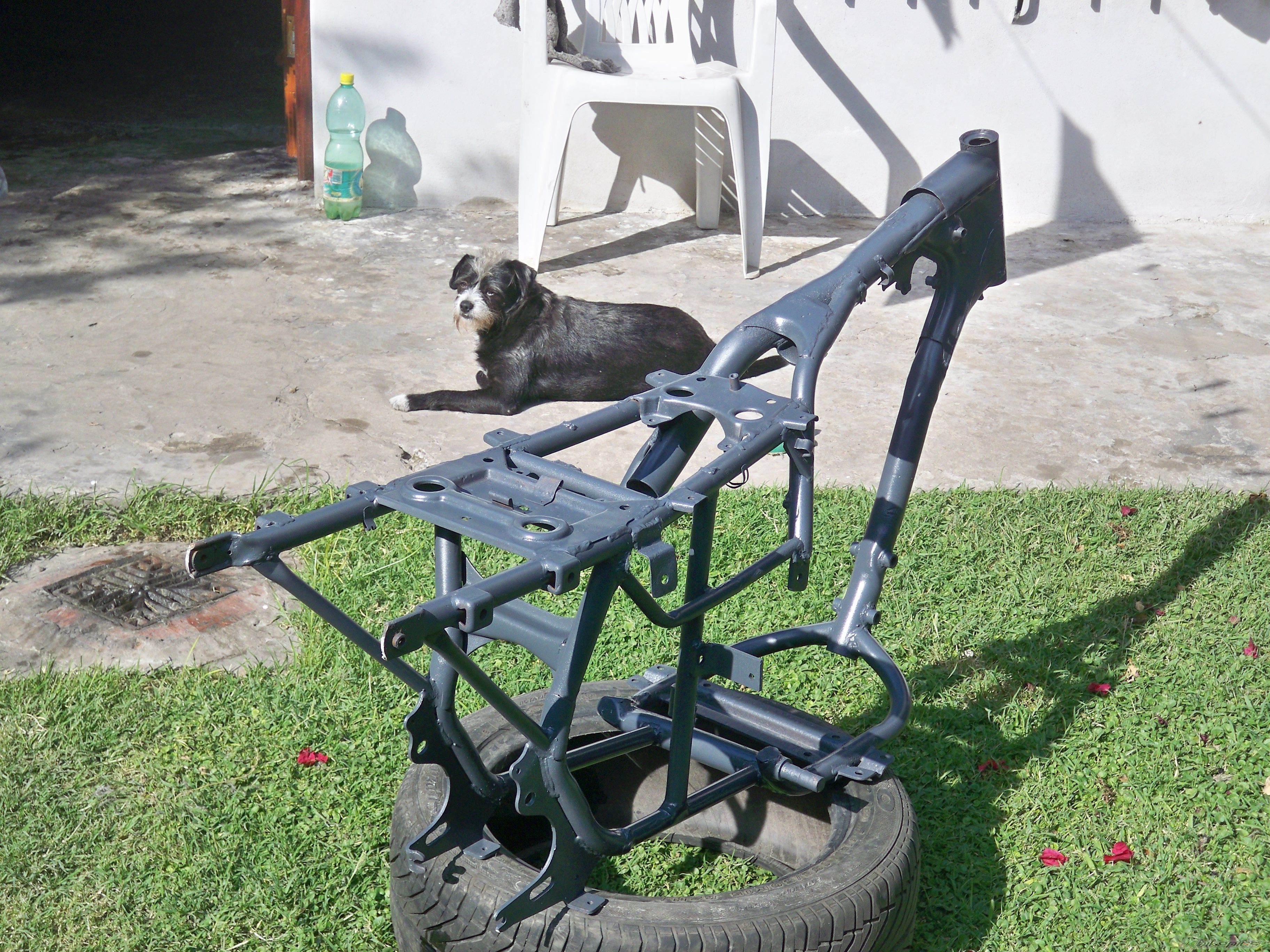 Photo 1662853