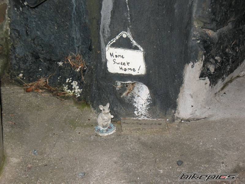 Photo 1663021