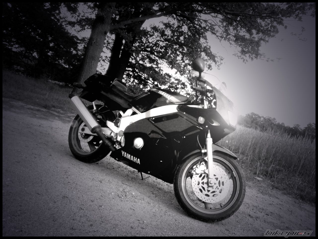 Photo 1663047