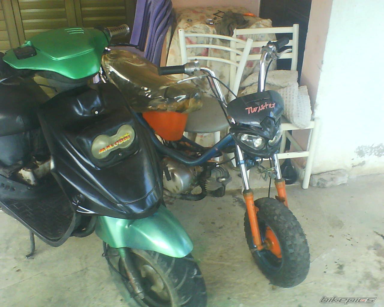 Photo 1663068