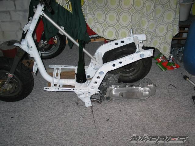 Photo 166315