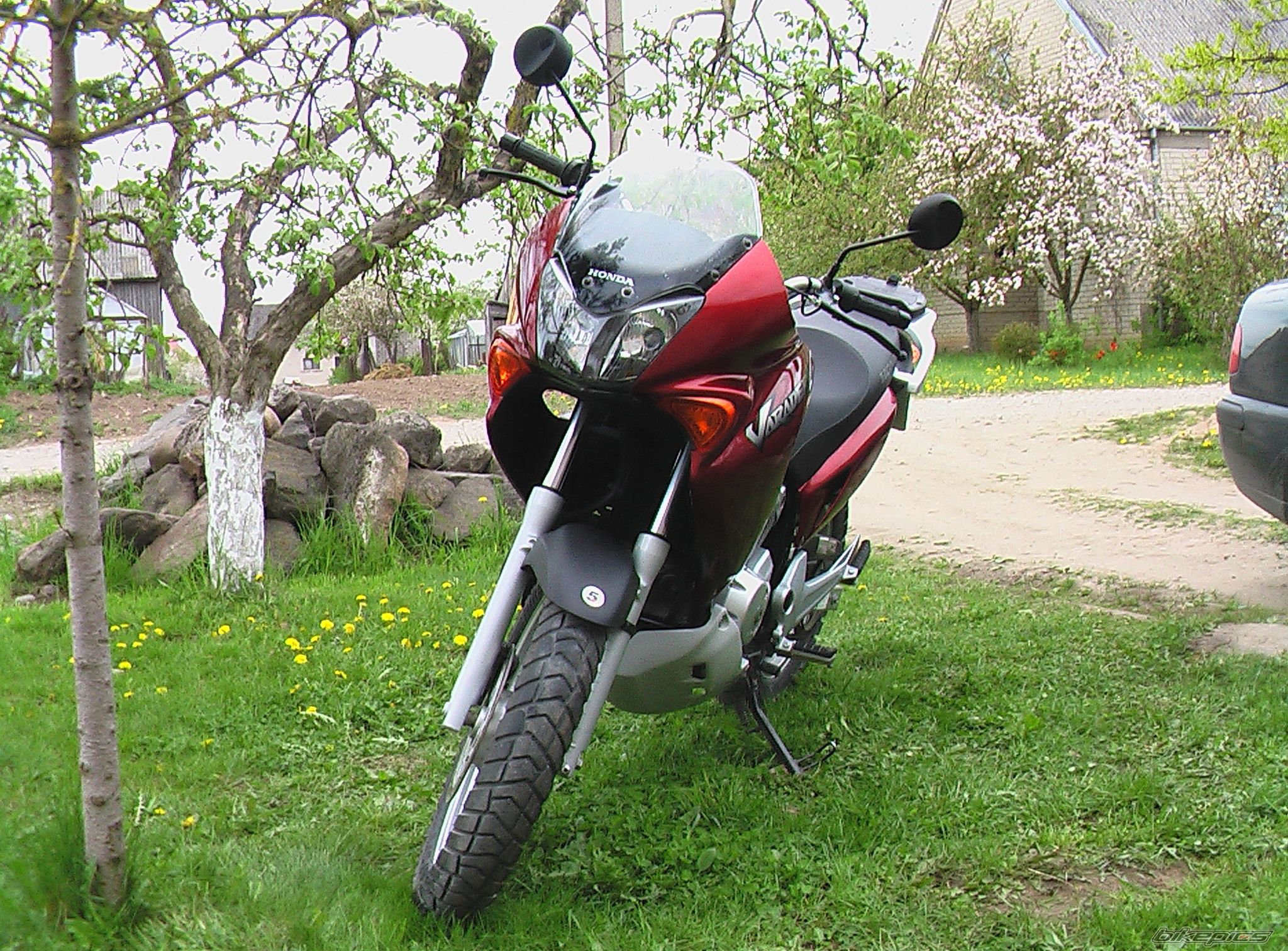 Photo 1663167