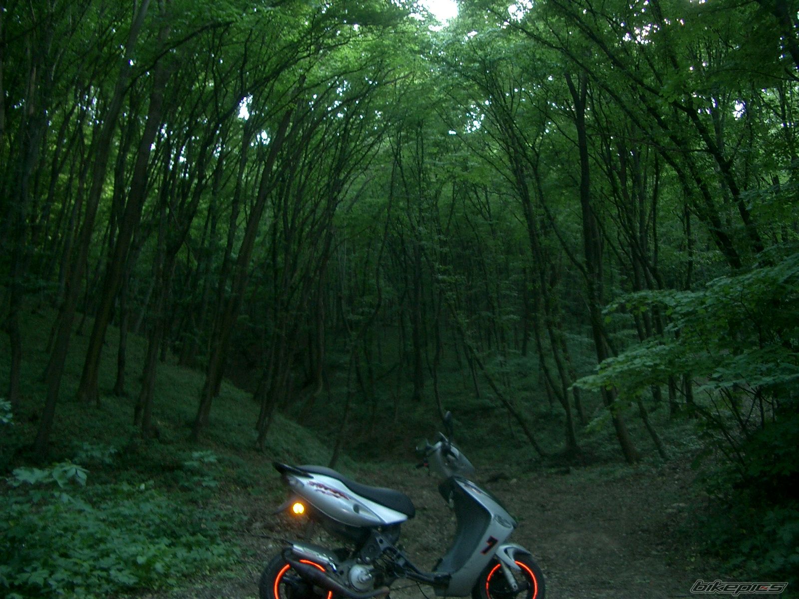 Bike Photo 1663193