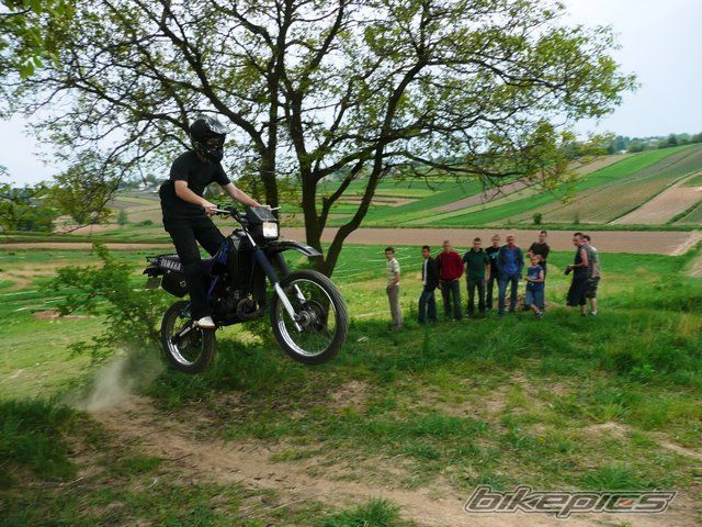 Photo 1663270