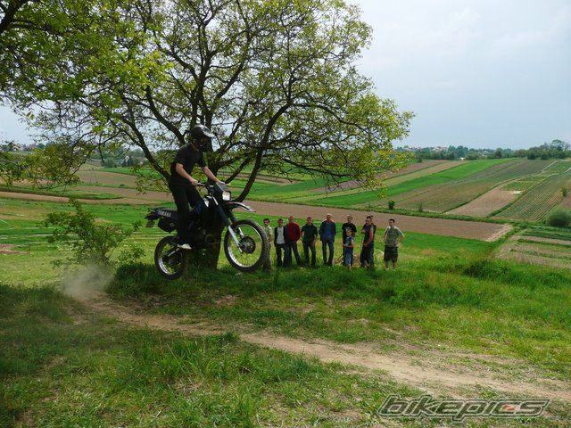 Photo 1663275
