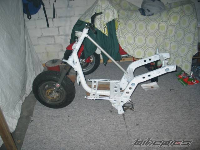 Photo 166328