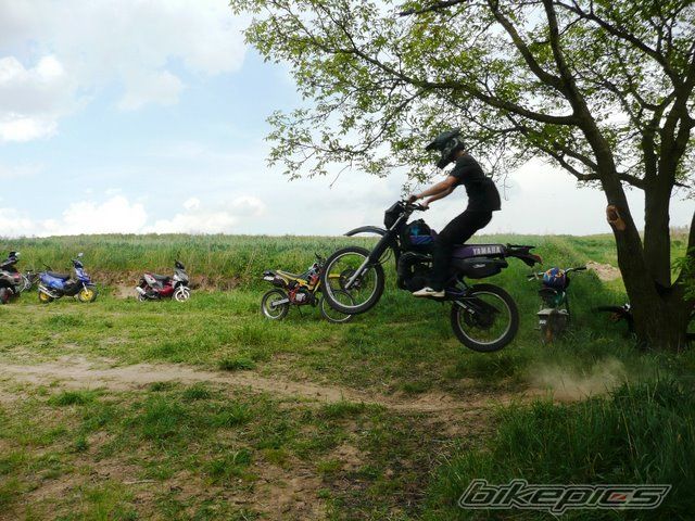 Photo 1663281