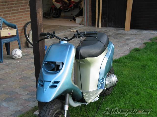 Photo 166330