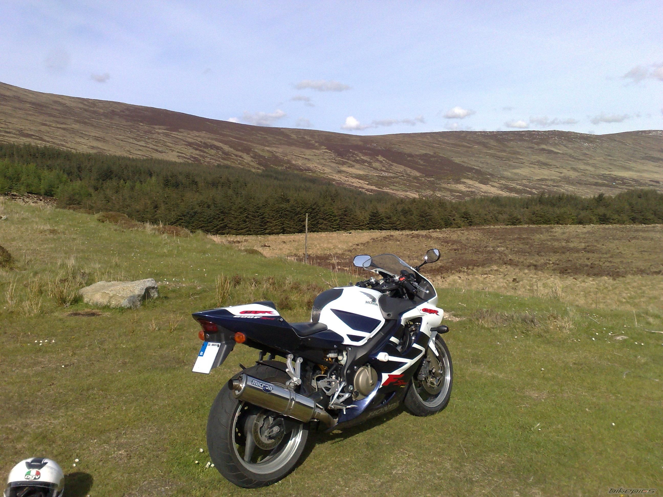 Photo 1663302