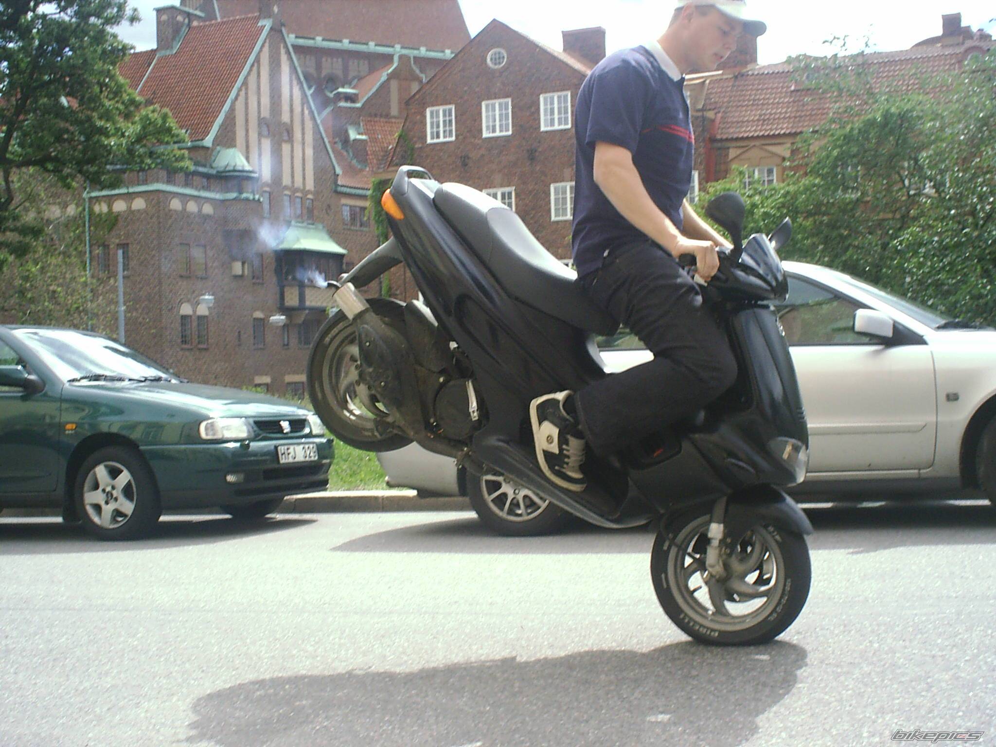 Photo 166345