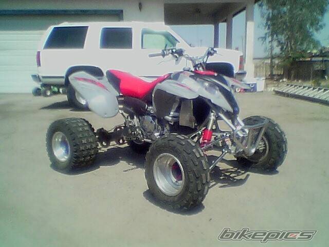 Photo 166347