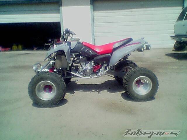 Photo 166355